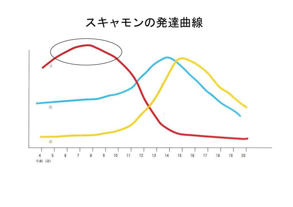 スキャモン発達曲線のサムネイル